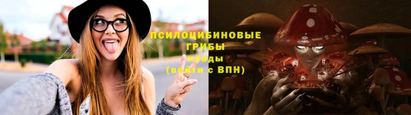 apvp Протвино
