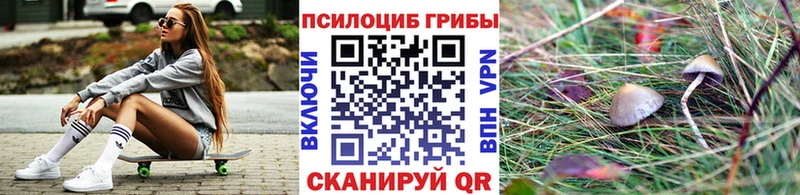 Галлюциногенные грибы прущие грибы  Купить где  Старая Русса 